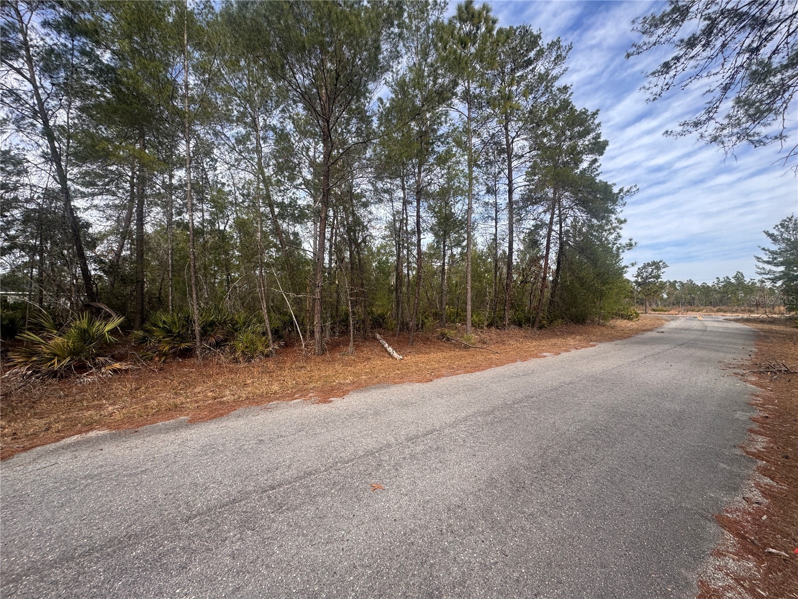 Malauka Lane Pass Ocklawaha FL 32179 S5143159 image9