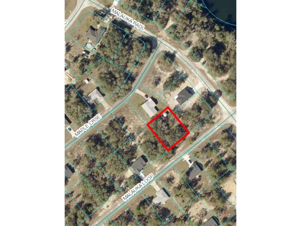 Malauka Loop Ocklawaha FL 32179 OM691740 image1