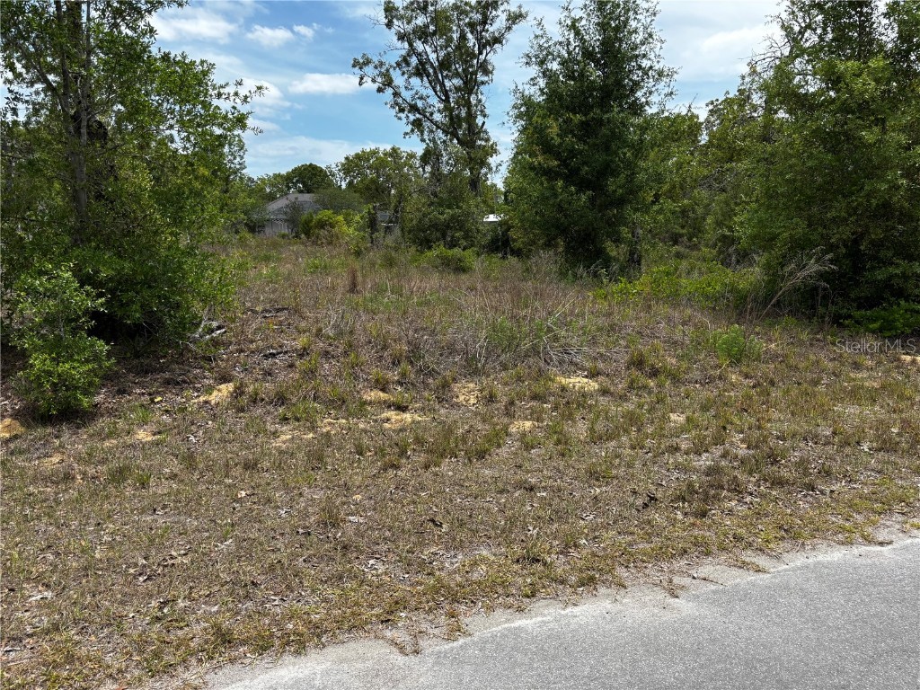 Malauka Loop Ocklawaha FL 32179 OM700105 image1