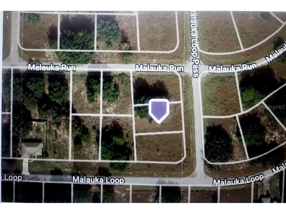 Malauka Loop Pass #31 Ocklawaha FL 32179 O6229284 image1