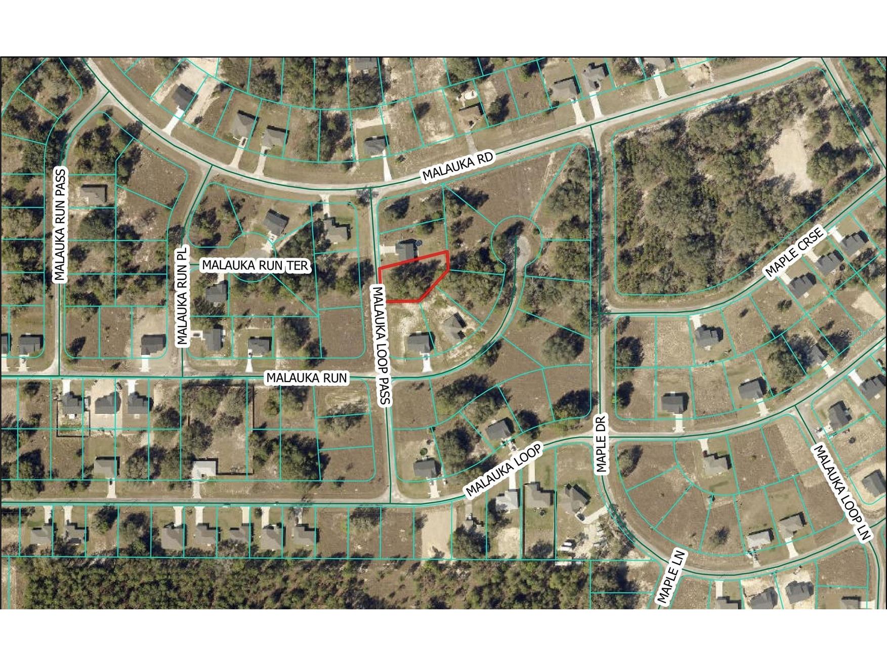 Malauka Loop Pass Ocklawaha FL 32179 C7520934 image1