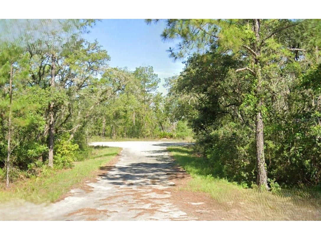 Malauka Loop Trace Ocklawaha FL 32179 O6257141 image1