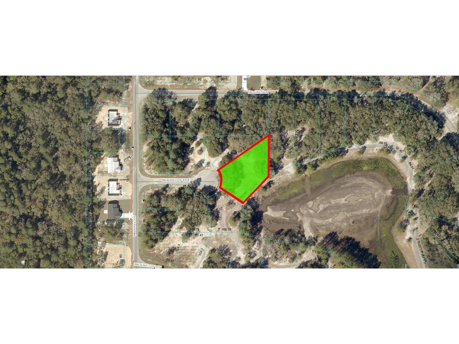 Malauka Loop Trace Ocklawaha FL 32179 O6257141 image2