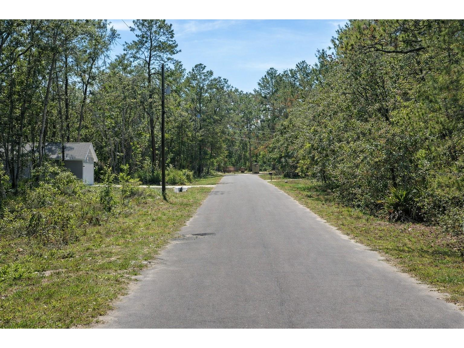Malauka Pass Circle Ocklawaha FL 32179 O6393295 image3