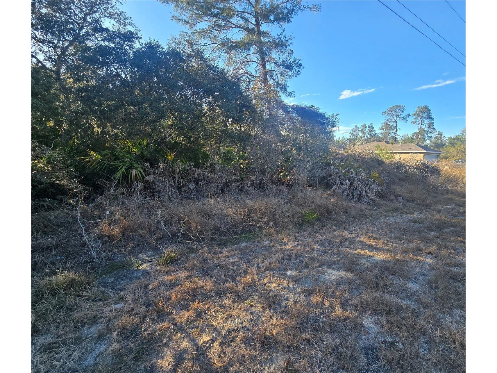 Malauka Pass Crse Ocklawaha FL 32179 OM718417 image3