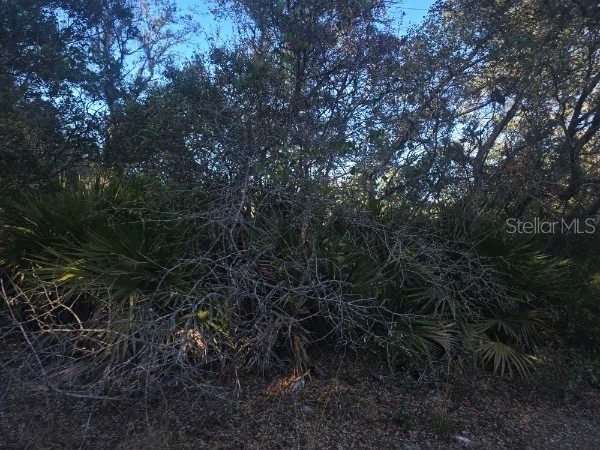 Malauka Pass Crse Ocklawaha FL 32179 OM718417 image4