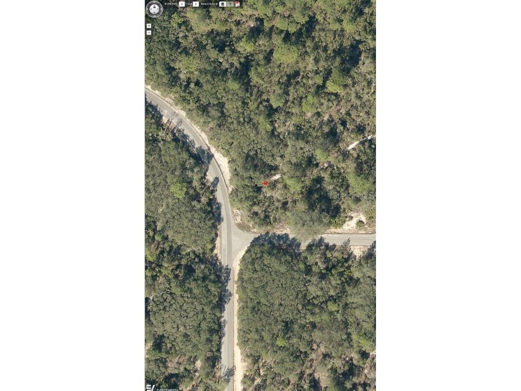 Malauka Pass #LOT 1 Ocklawaha FL 32179 OM663168 image1