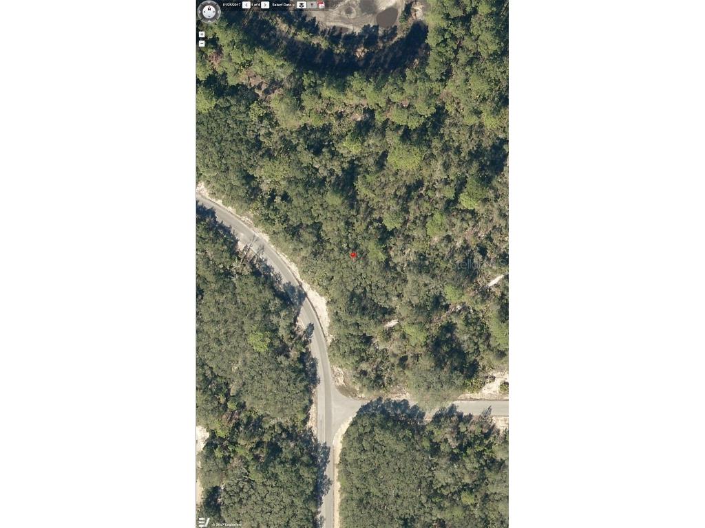 Malauka Pass #LOT 2 Ocklawaha FL 32179 OM663166 image1
