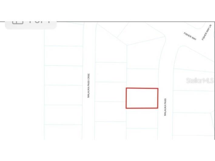 Malauka Pass Ocklawaha FL 32179 OM658062 image1