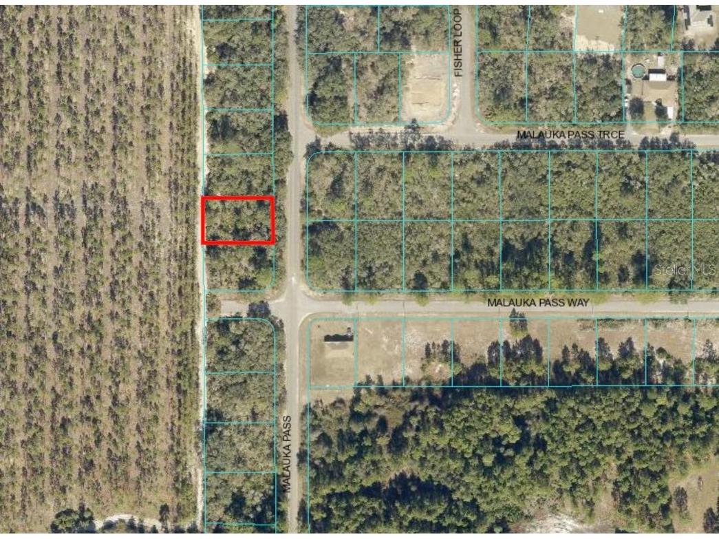 Malauka Pass Ocklawaha FL 32179 OM665220 image1