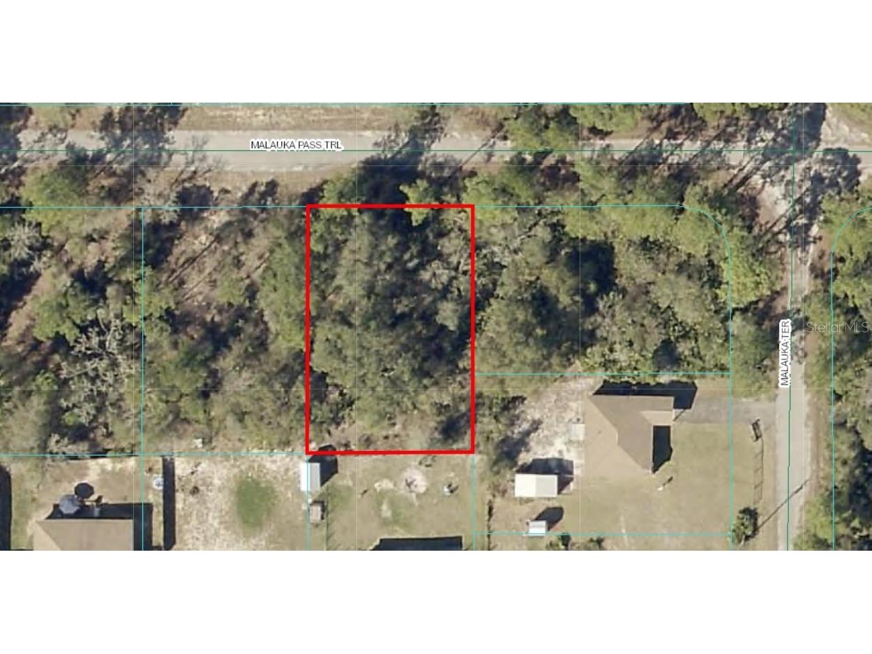 Malauka Pass Trail Ocklawaha FL 32179 S5130587 image1