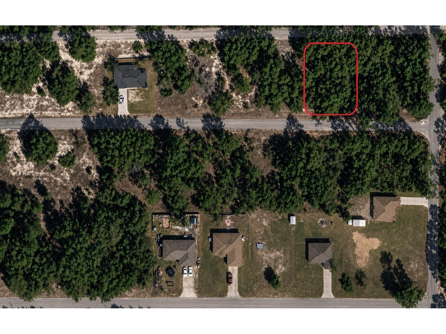 Malauka Pass Trl Ocklawaha FL 32179 O6393267 image1