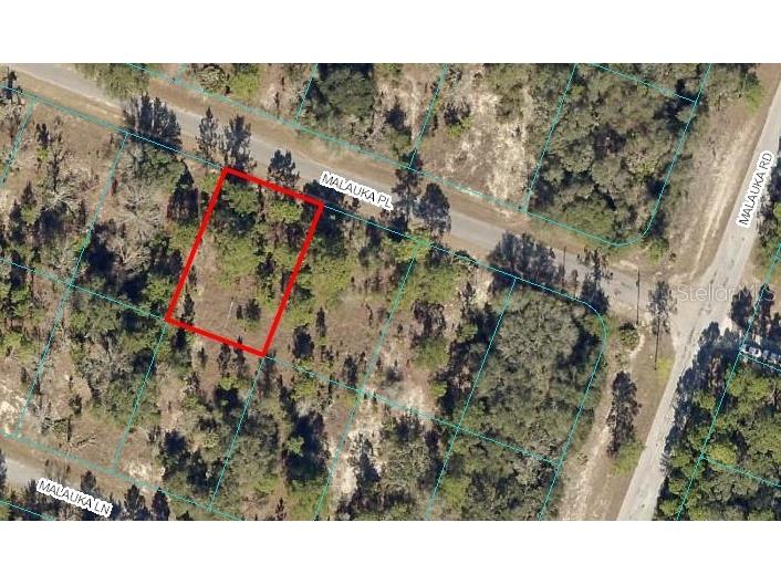 Malauka Place Ocklawaha FL 32179 U8203828 image1