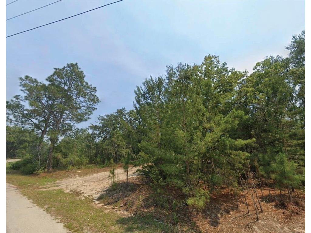 Malauka Place Ocklawaha FL 32179 O6364903 image1