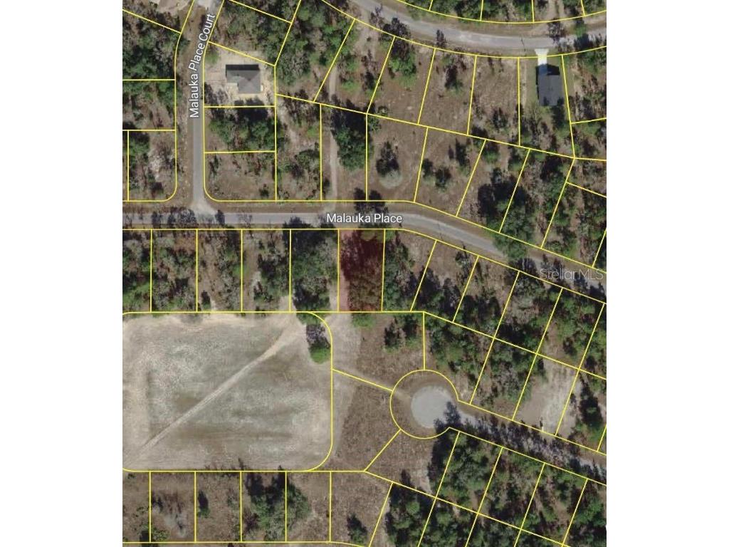Malauka Place Ocklawaha FL 32179 O6364903 image2