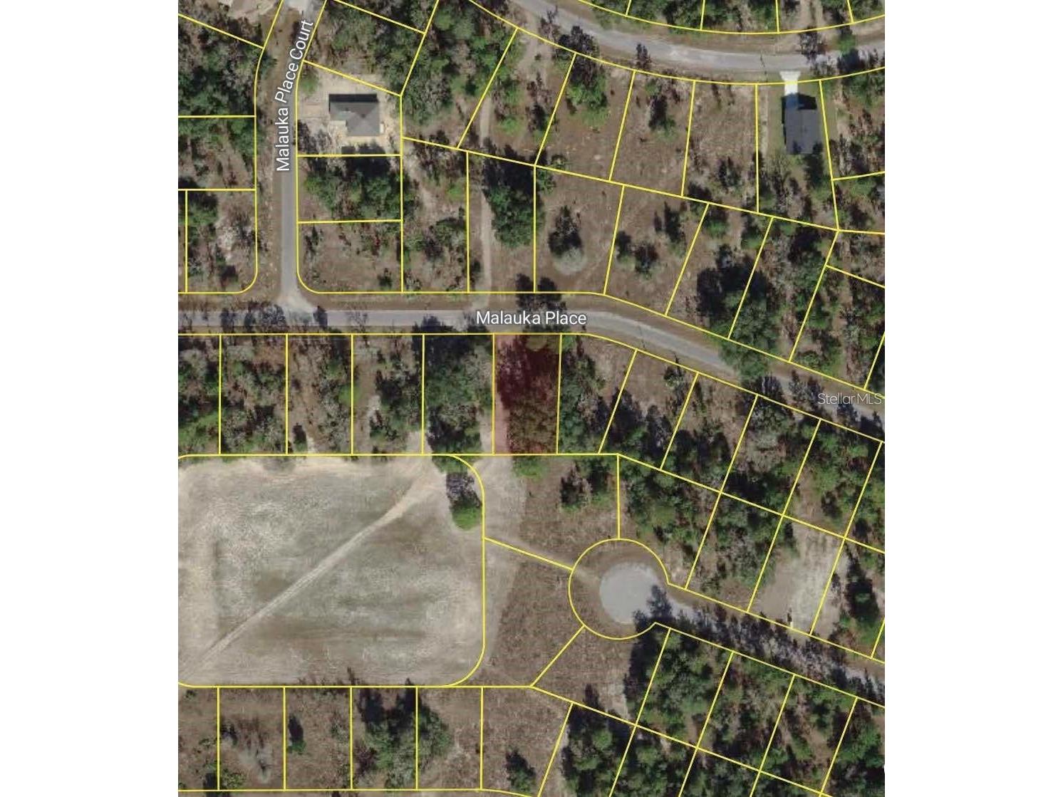 Malauka Place Ocklawaha FL 32179 O6416344 image2