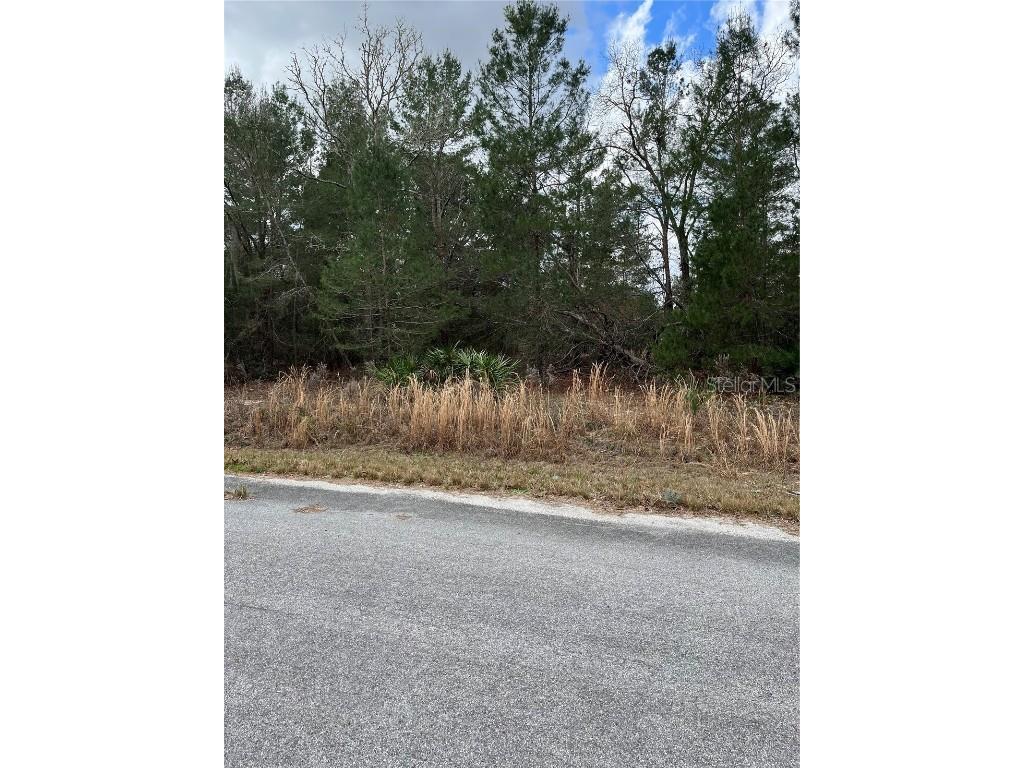 Malauka Radial Drive #31 Weirsdale FL 32195 G5065136 image1