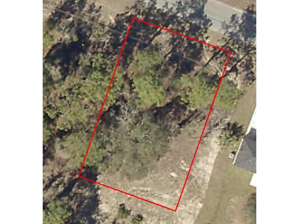 Malauka Radial Ocklawaha FL 32179 OM694041 image1