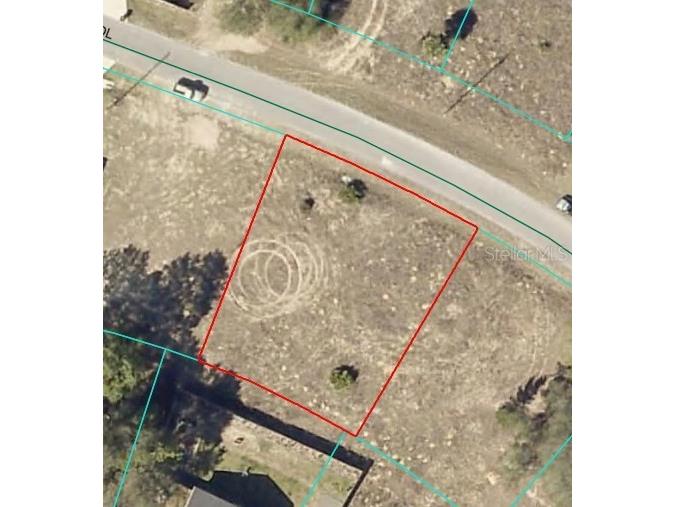 Malauka Radial Ocklawaha FL 32179 OM709365 image1