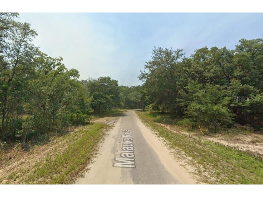 Malauka Radial Ocklawaha FL 32179 TB8496248 image1