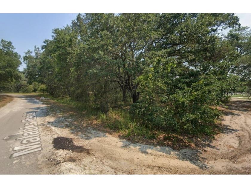 Malauka Radial Ocklawaha FL 32179 TB8496248 image2