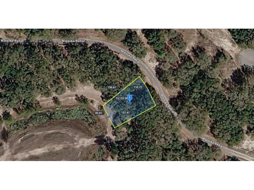 Malauka Radial Ocklawaha FL 32179 TB8496248 image3