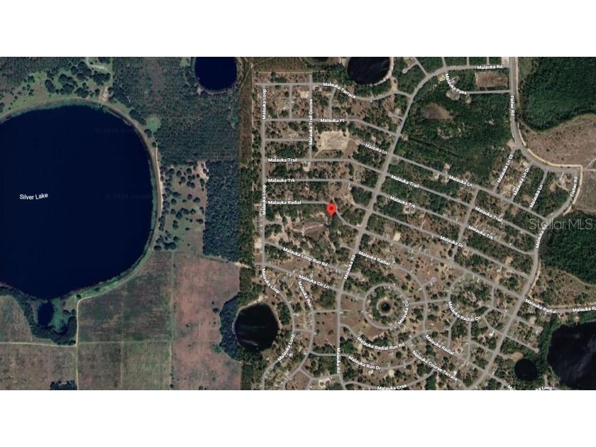 Malauka Radial Ocklawaha FL 32179 TB8496248 image4
