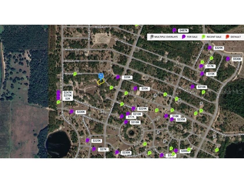 Malauka Radial Ocklawaha FL 32179 TB8496248 image5