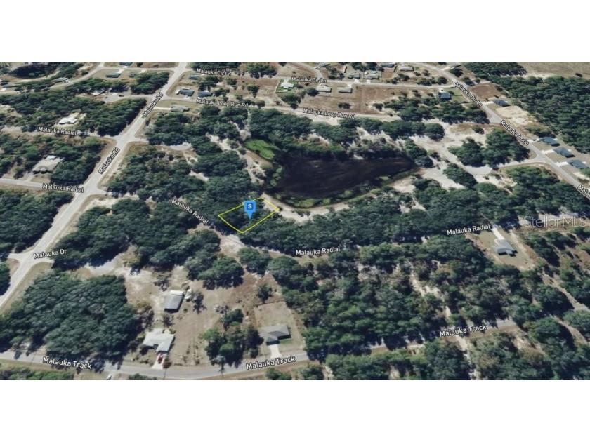 Malauka Radial Ocklawaha FL 32179 TB8496248 image7