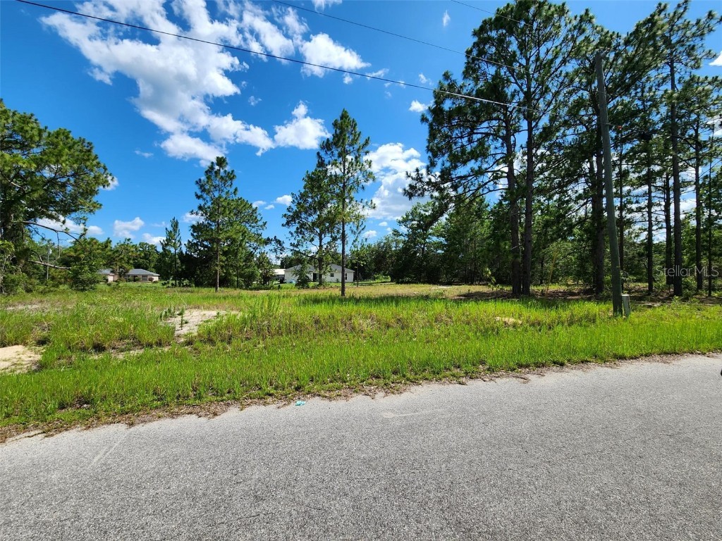 Malauka Radial Run Ocklawaha FL 32179 OM705016 image1