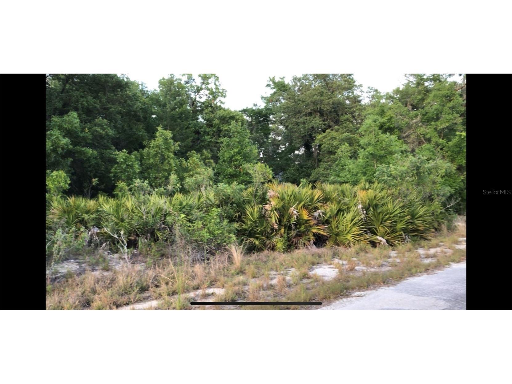 Malauka Radial Ter Silver Springs FL 34488 A4609762 image1