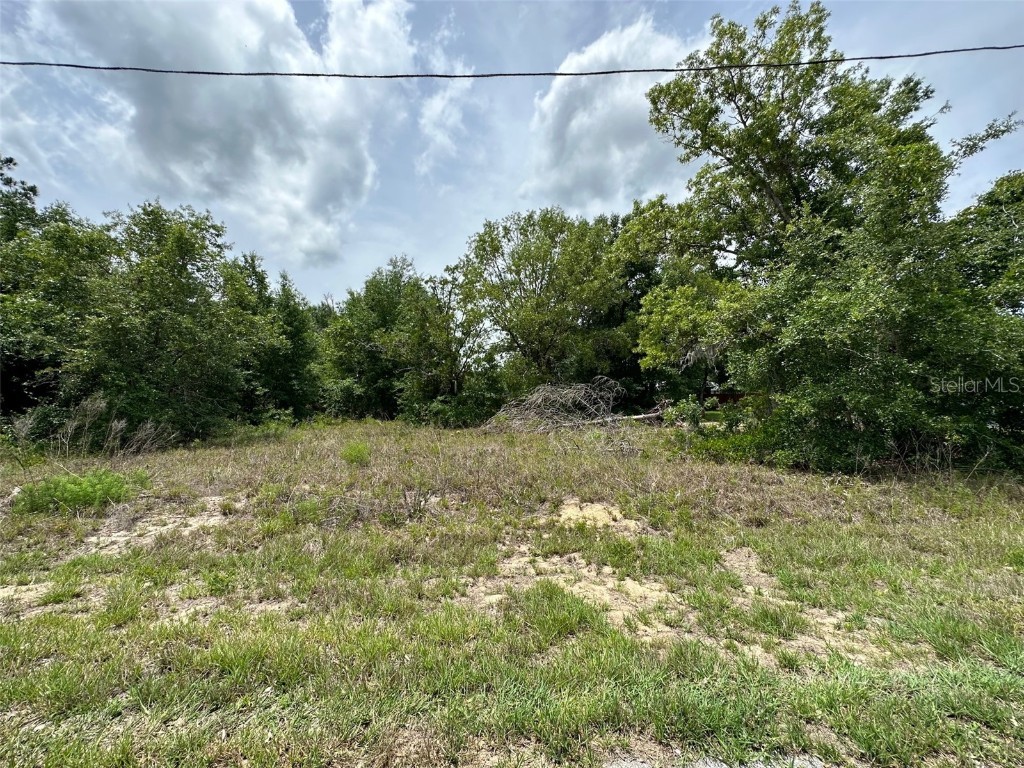 Malauka Run Lane Ocklawaha FL 32179 G5068133 image1