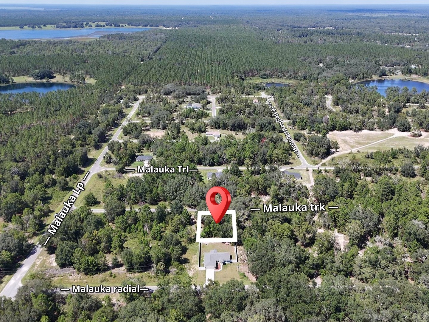 Malauka Track Ocklawaha FL 32179 O6337952 image5