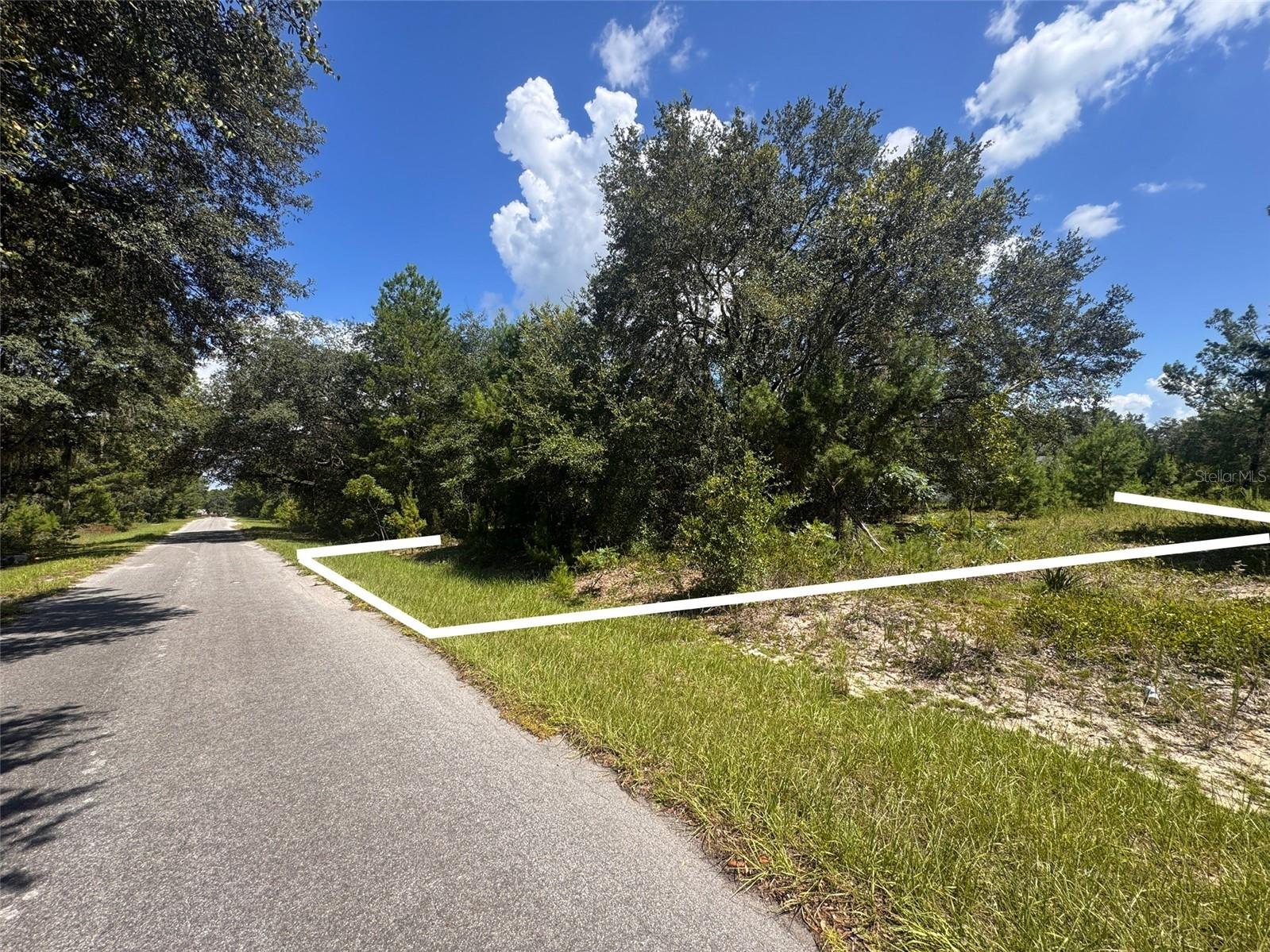 Malauka Track Ocklawaha FL 32179 O6337952 image8