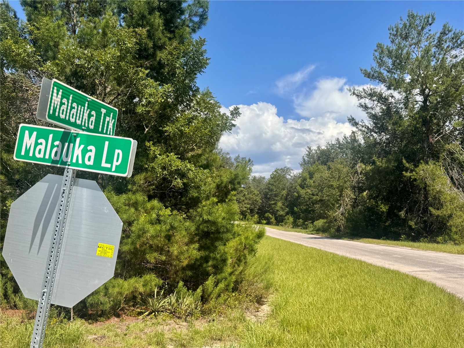 Malauka Track Ocklawaha FL 32179 O6337952 image9