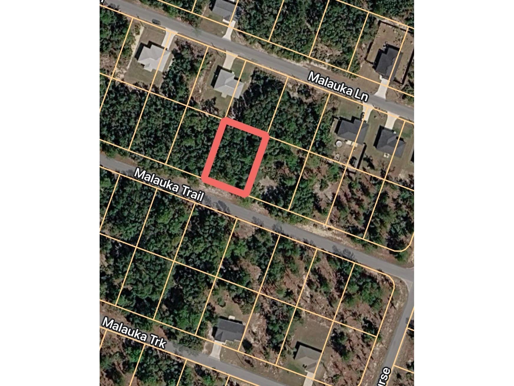 Malauka Trail Ocklawaha FL 32179 OM721032 image2