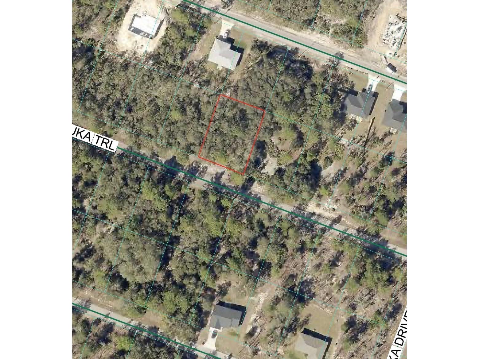 Malauka Trail Ocklawaha FL 32179 OM721032 image3