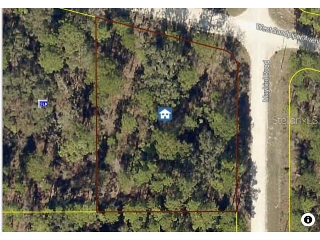 Malden Road Brooksville FL 34614 W7878580 image1