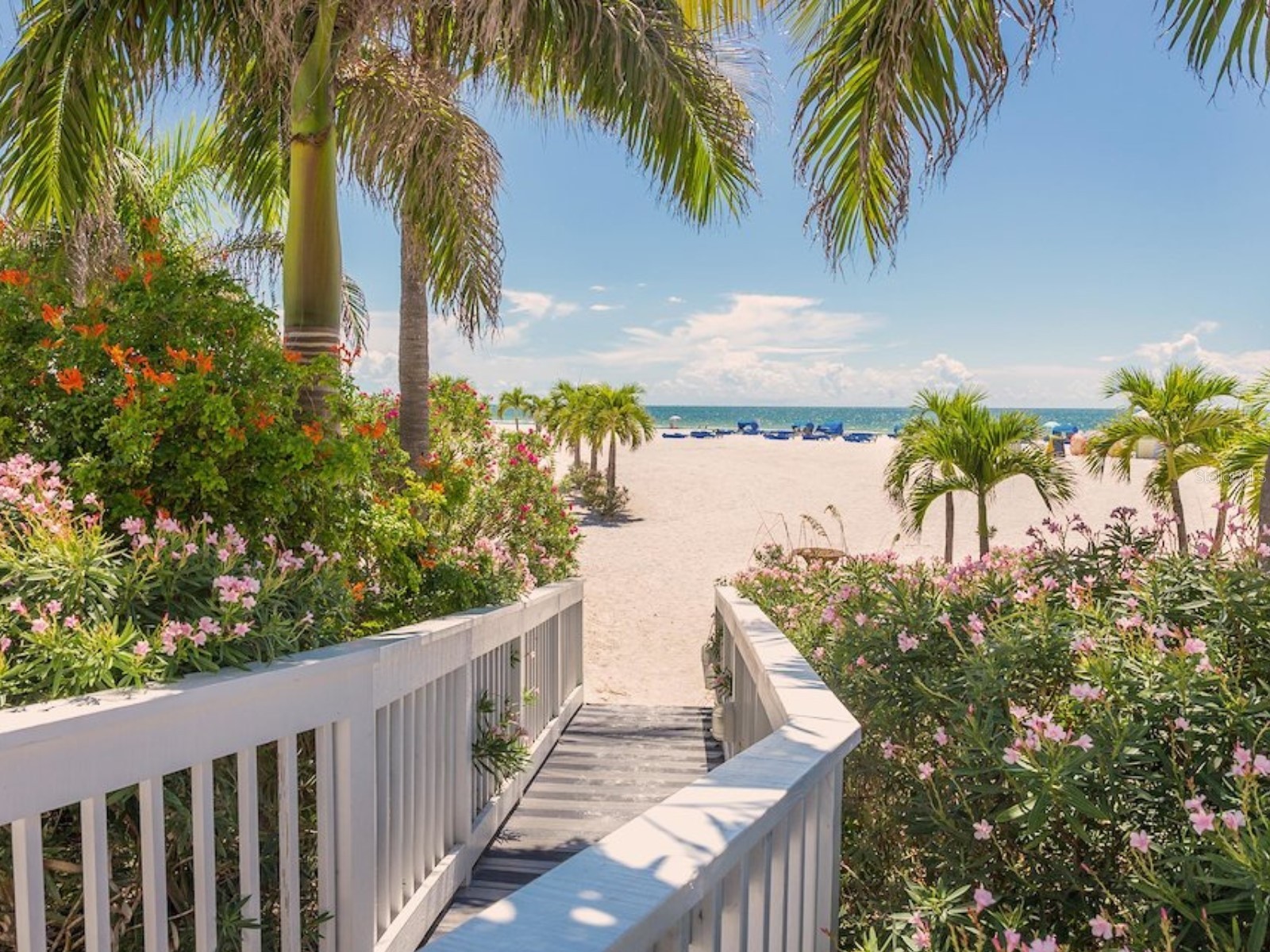 Malinda Terrace North Port FL 34286 A4683620 image3