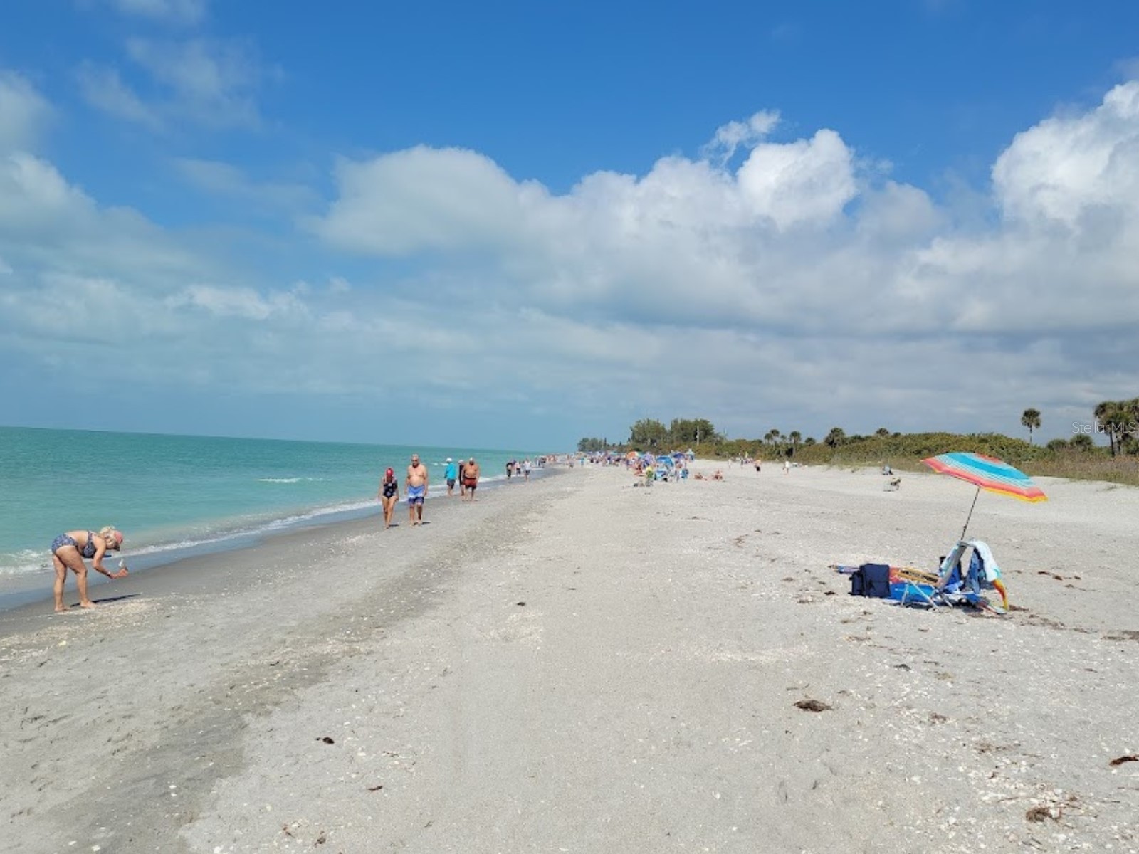 Malinda Terrace North Port FL 34286 A4683620 image4