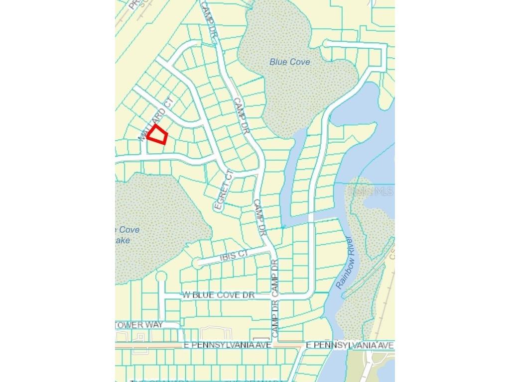 Mallard Court #2 Dunnellon FL 34432 - RAINBOW RIVER OM655843 image1