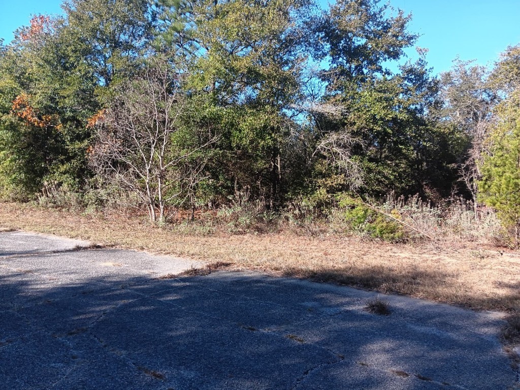 Malone Chipley FL 32428 S5140341 image1