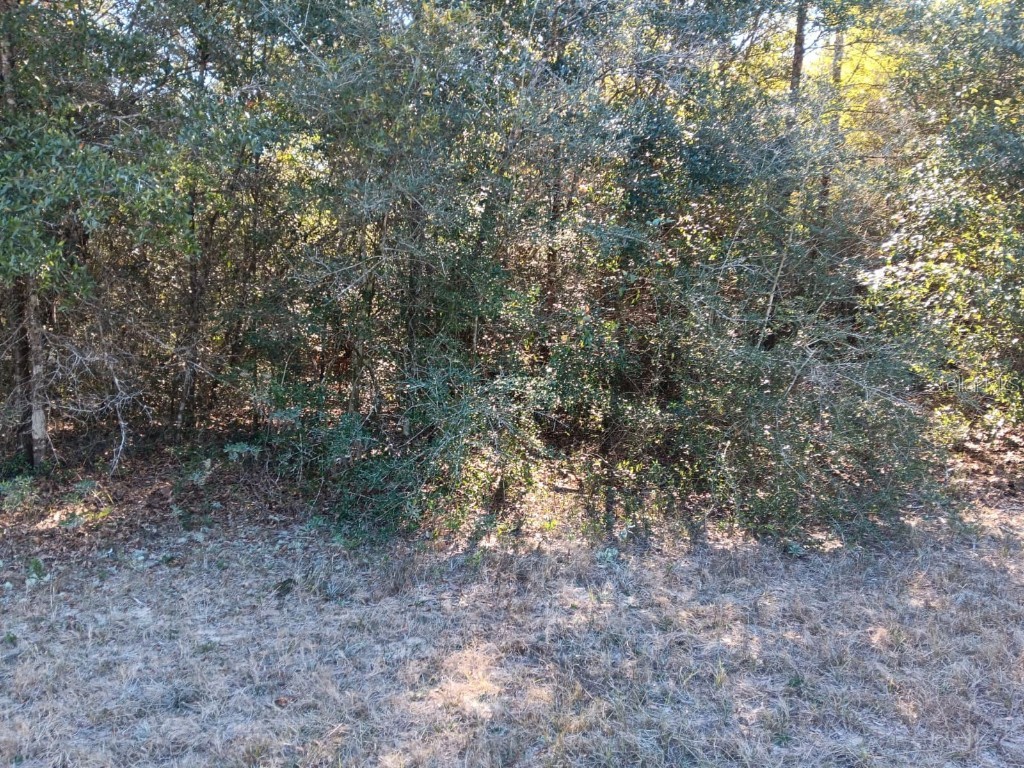 Malone Chipley FL 32428 S5140341 image2