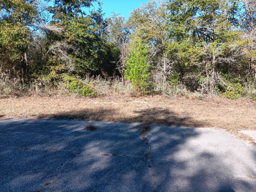 Malone Chipley FL 32428 S5140341 image3