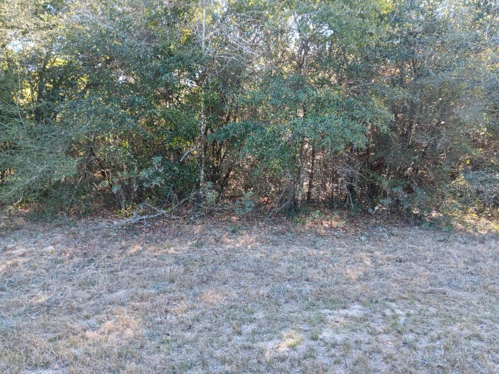 Malone Chipley FL 32428 S5140341 image4