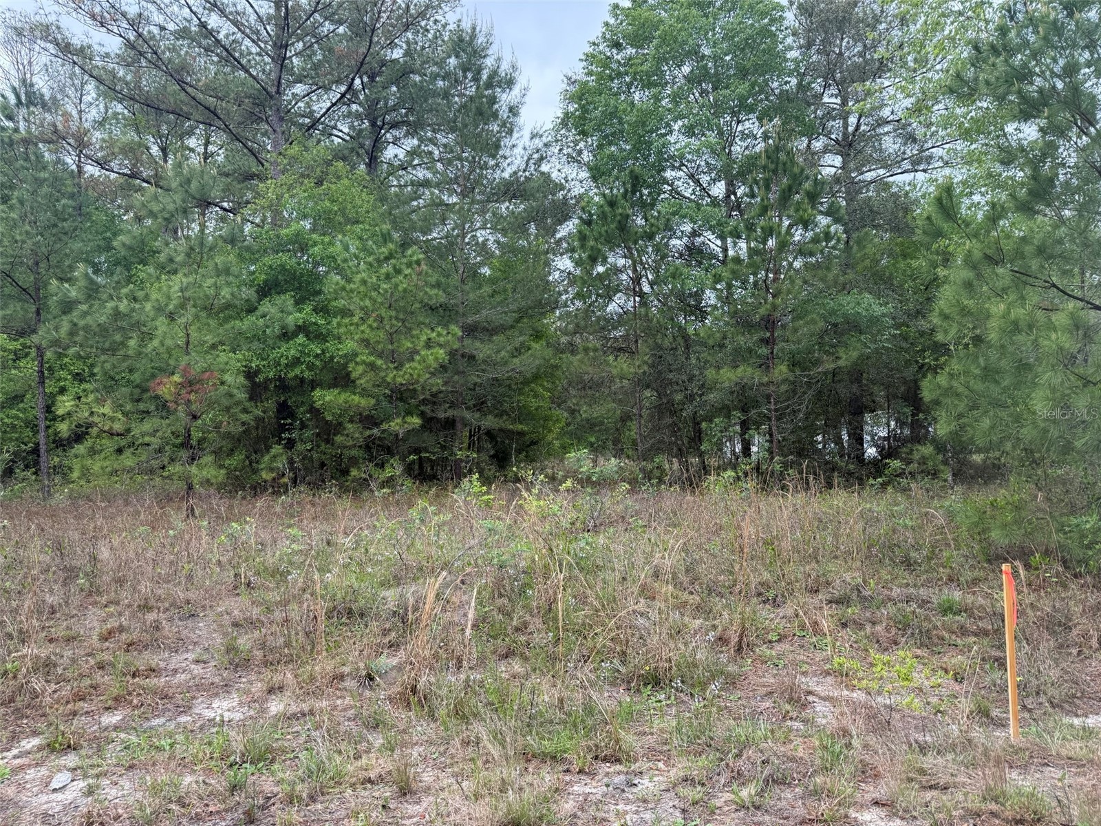 Maltas Avenue Interlachen FL 32148 K4903236 image1