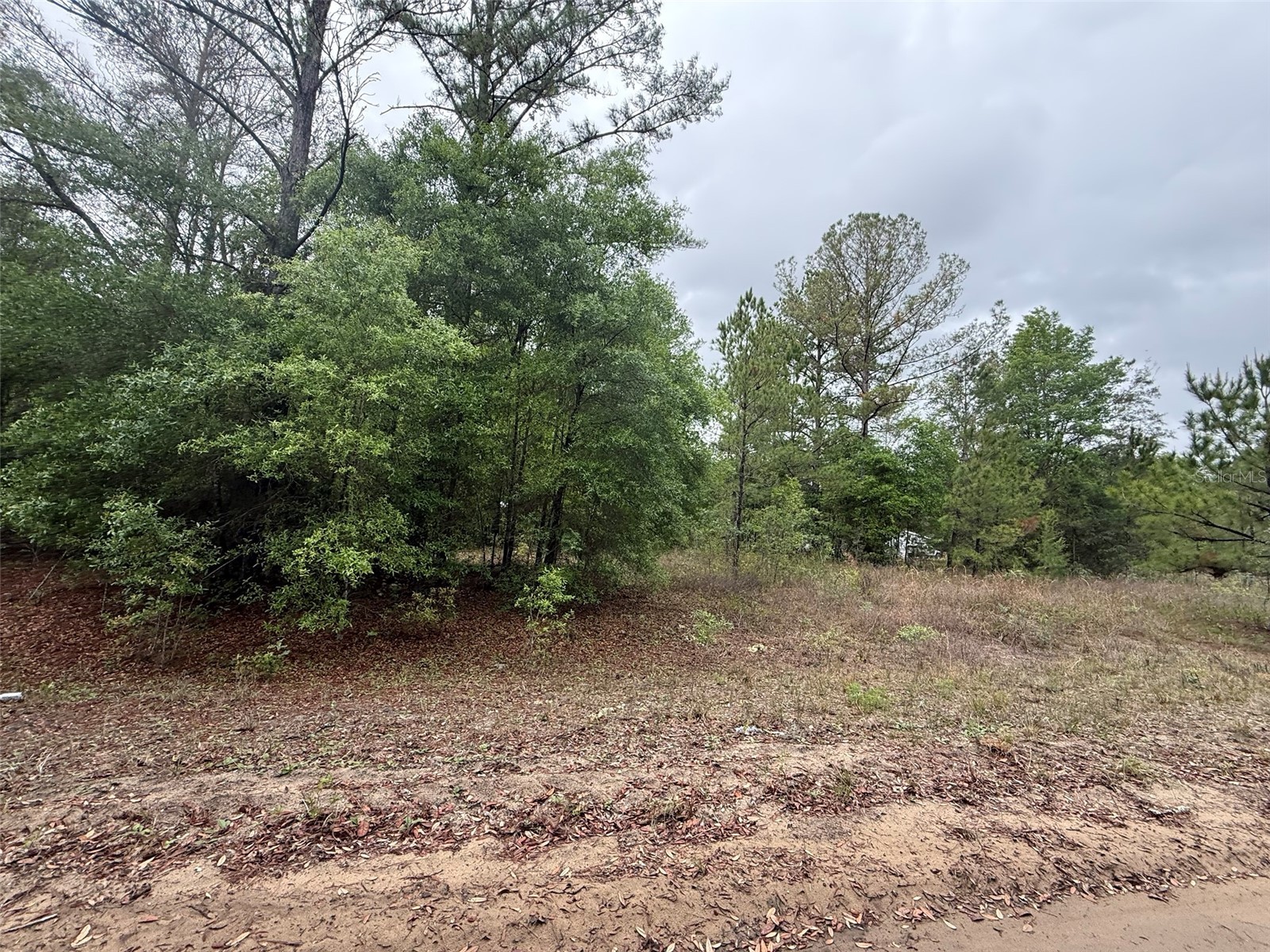 Maltas Avenue Interlachen FL 32148 K4903236 image2
