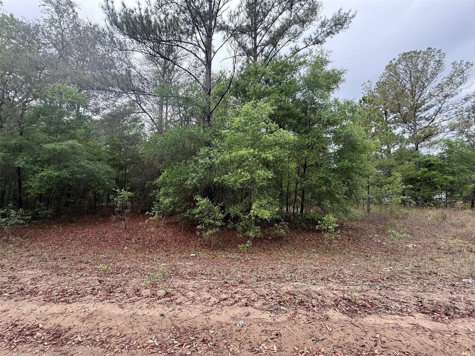 Maltas Avenue Interlachen FL 32148 K4903236 image3