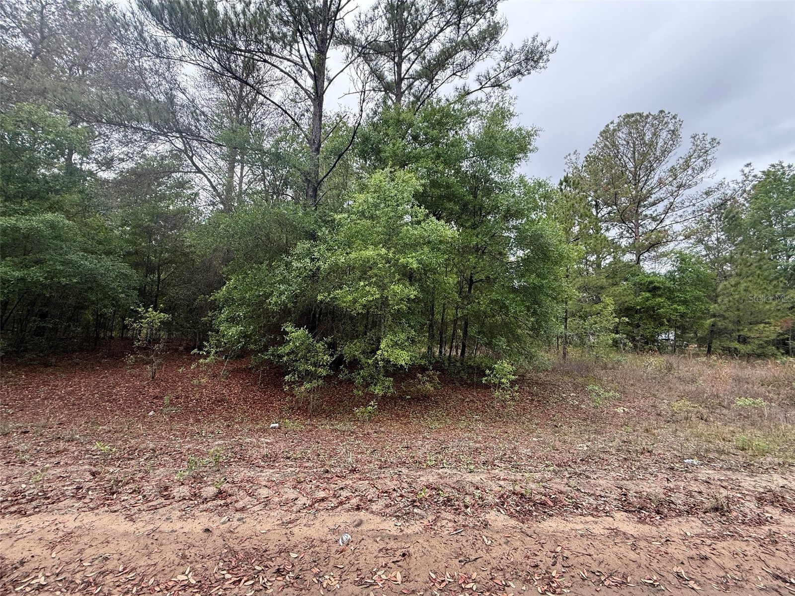 Maltas Avenue Interlachen FL 32148 K4903236 image4