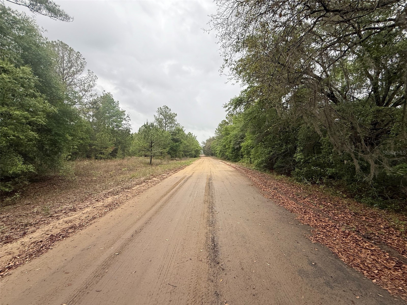 Maltas Avenue Interlachen FL 32148 K4903236 image5